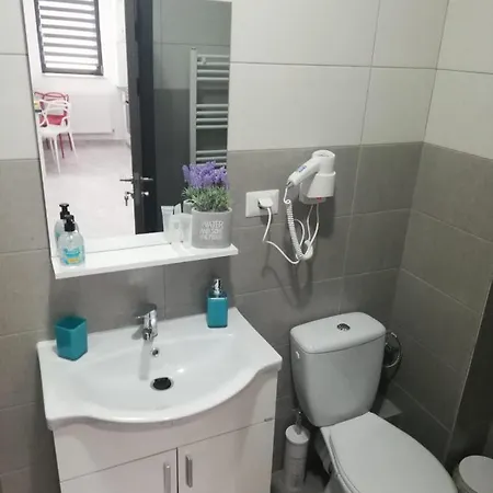 Apartament Mna Inchirieri